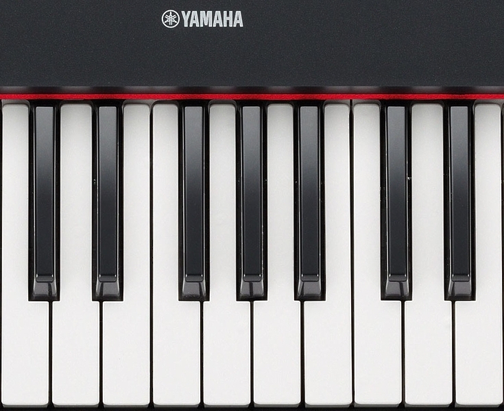 Клавишный инструмент Yamaha NP-11 Piaggero артикул 136538Si-1 фото 6
