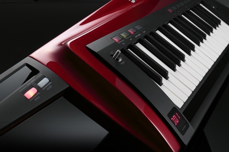 Клавишный инструмент KORG RK-100S-RD артикул 136256Si-1 фото 7