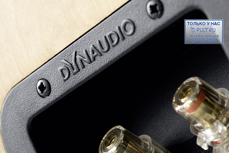 Напольная акустика Dynaudio Excite X32 cherry артикул 398239FV-1 фото 5