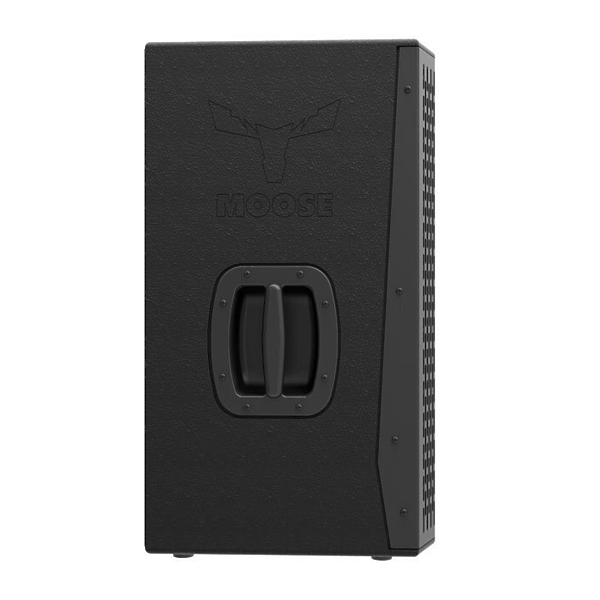 Акустическая система MOOSE DUAL-C10 артикул 164371Si-1 фото 4