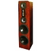 Напольная акустика Legacy Audio Focus SE rosewood