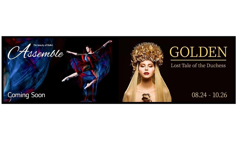 LED панель LG 88BH7G-В артикул 254722Si-1 в интернет-магазине «HiFiRussia»