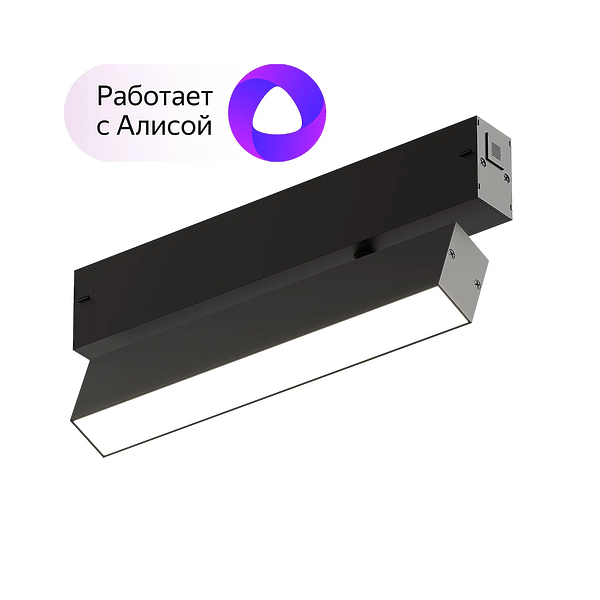 Светильник поворотный Denkirs DK8009-BK (Black) артикул 270787Si-1