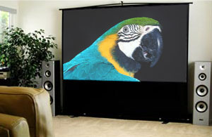 Экран Elite Screens F84NWH (84"/16:9) 128x171cm MaxWhite артикул 345726FV-1 фото 3