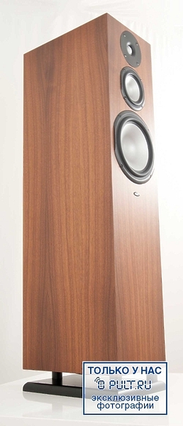 Chario Syntar 533 walnut артикул 400293FV-1 фото 7