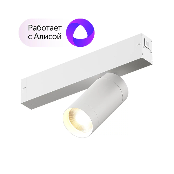 Светильник акцентный Denkirs DK8010-WH (White) артикул 270790Si-1