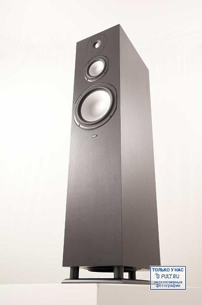 Chario Syntar 533 black ash артикул 400322FV-1 фото 4
