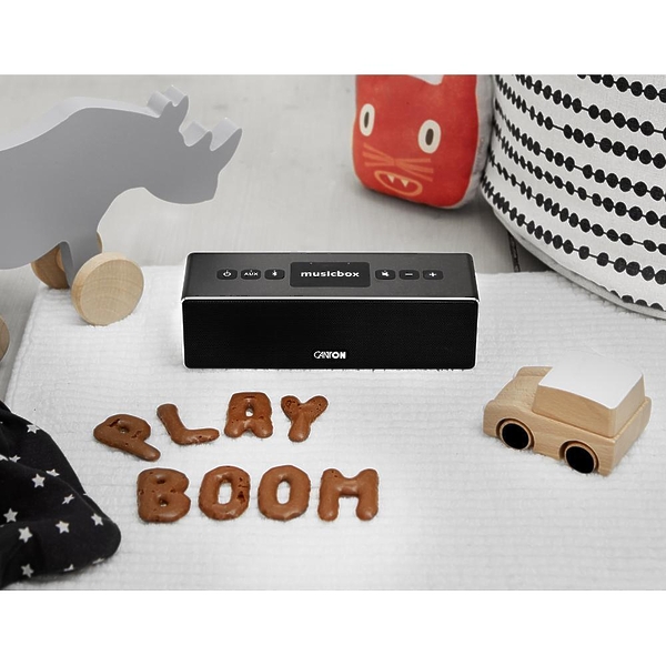 Canton Musicbox XS black #9 в «HiFiRussia»