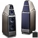 Напольная акустика Wilson Audio Sasha DAW Carbon