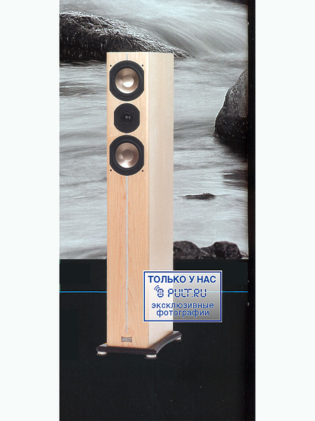 Напольная акустика ASW CANTIUS 504 Cherry артикул 427368FV-1 фото 3