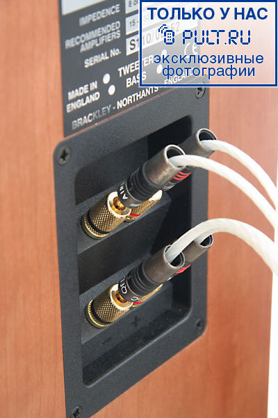 Акустическая система ProAc Studio 110 blk ash артикул 444802FV-1 фото 5