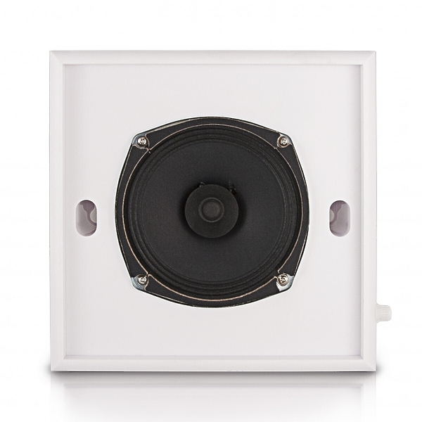 Настенная акустика CVGaudio WPS6T артикул 137062Si-1 фото 3