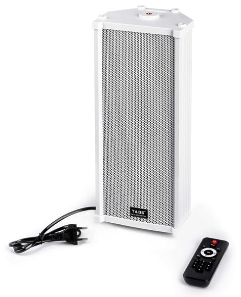 Акустическая система TADS DS-20E-A артикул 285506Si-1