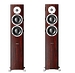 Напольная акустика Dynaudio Focus XD 400 rosewood