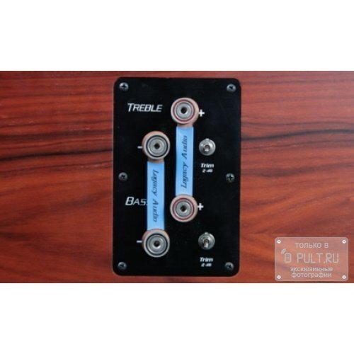 Акустика центрального канала Legacy Audio SilverScreen HD rosewood артикул 101632Si-1 фото 4