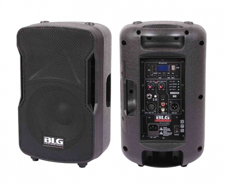 Акустическая система BLG BP13-08A10 артикул 210405Si-1 фото 4
