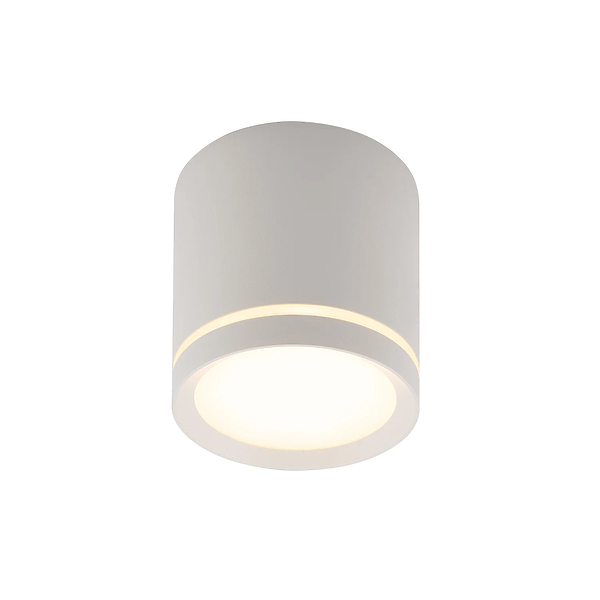 Светильник накладной Denkirs DK4016-WH (White) артикул 270769Si-1
