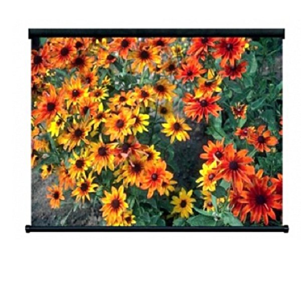 Экран ScreenMedia Easy-com 610*457 FMW артикул 139578Si-1