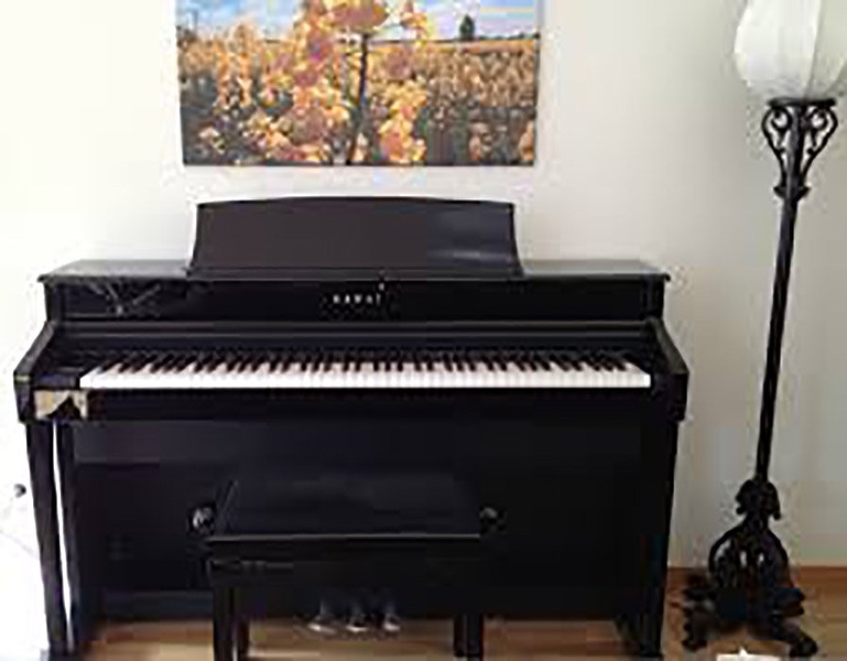 Клавишный инструмент Kawai CS-4 артикул 138540Si-1 фото 4
