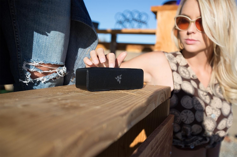 Razer Leviathan Mini (RZ05-01570100-R3G1) #9 в «HiFiRussia»