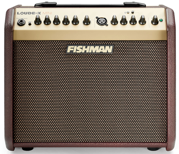 Комбо для гитары Fishman PRO-LBT-EU5 LoudBox Mini артикул 280614Si-1