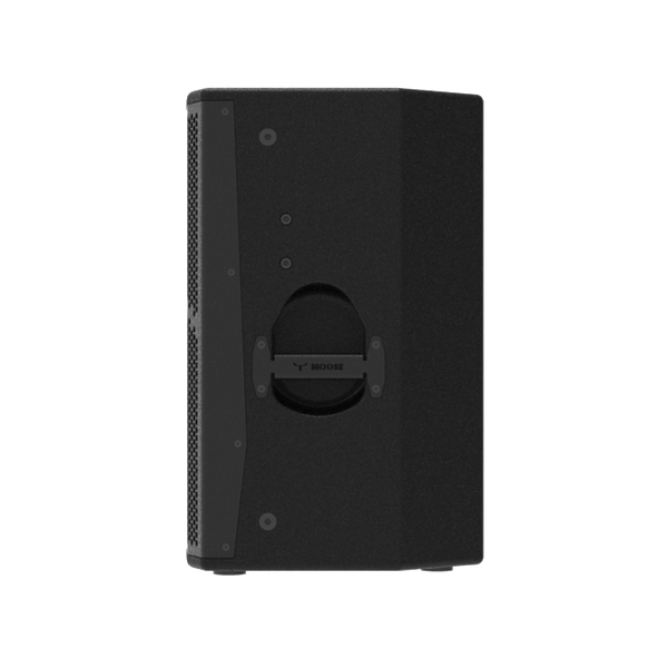 Активная акустическая система MOOSE C10A артикул 302089Si-1 фото 4