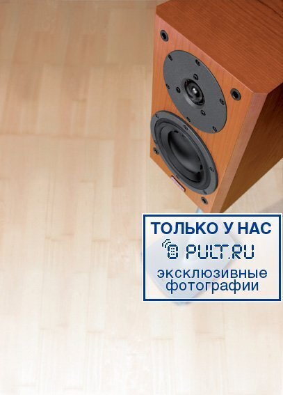 Акустическая система Dynaudio Focus 110 A maple артикул 443800FV-1 фото 4