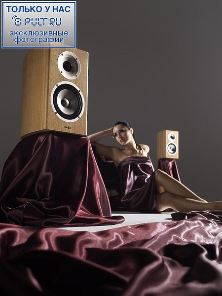 Акустическая система Acoustic Energy Radiance 1 natural ash артикул 045425Si-1 фото 3