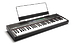 Цифровые фортепиано Alesis Recital 61