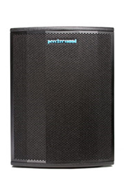 Сабвуфер Peecker Sound 40SW15/A артикул 135472Si-1