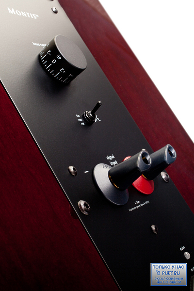 Напольная акустика Martin Logan Montis gloss black/cherrywood артикул 399993FV-1 фото 5