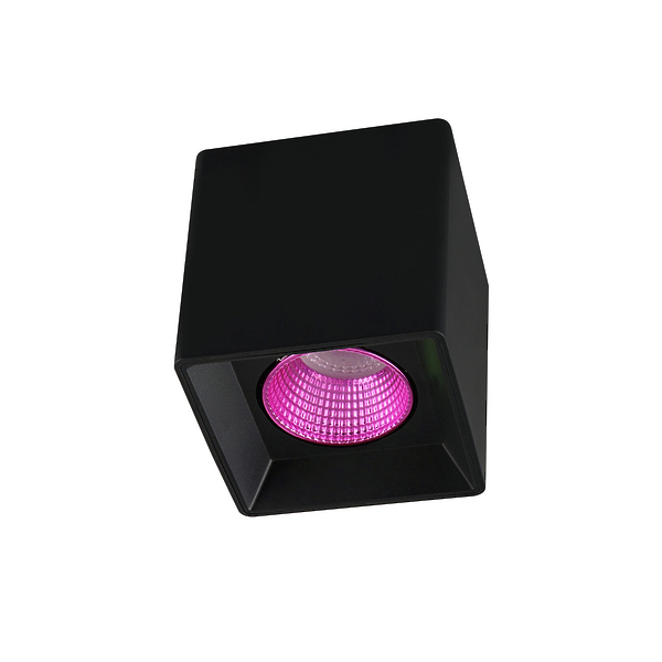 Светильник накладной Denkirs DK3080-BK+PI (Black Pink) артикул 270654Si-1