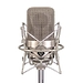 Микрофон NEUMANN M 150 tube set