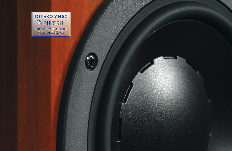 Напольная акустика Dynaudio Focus 220 II maple артикул 398055FV-1 фото 4
