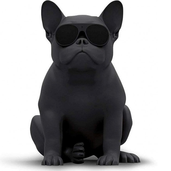 Портативная акустика Jarre Aerobull XS1 Matt black артикул 205386Si-1