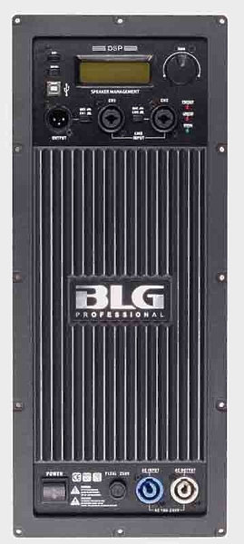 Акустическая система BLG RXA 12P964P-DSP артикул 202811Si-1 фото 5