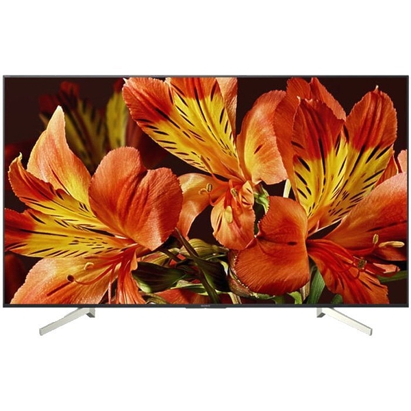 LED телевизор Sony KD-49XF8596BR2 артикул 177034Si-1