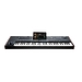 Аранжировочная станция KORG Pa5X-61