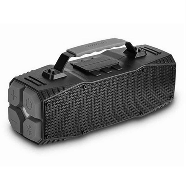 Портативная акустика DreamWave Elemental graphite артикул 164598Si-1