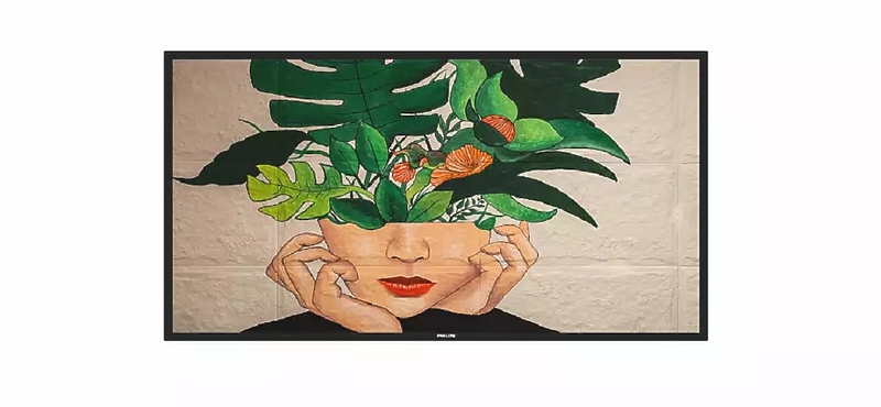 LED панель Philips 55BDL4511D/00 артикул 272626Si-1 в интернет-магазине «HiFiRussia»