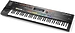 Клавишный инструмент Roland JUPITER-50