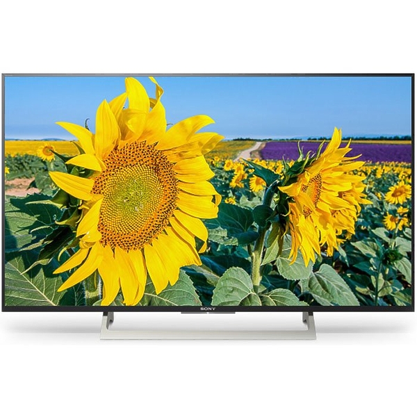 LED телевизор Sony KD-49XF8096BR2 артикул 176146Si-1