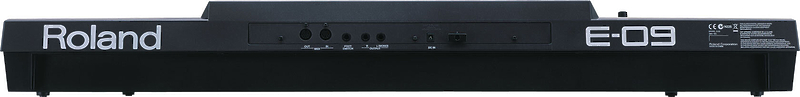 Клавишный инструмент Roland E09 артикул 150185Si-1 фото 4