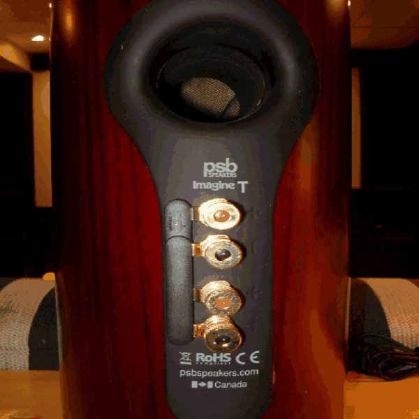 Акустическая система PSB Imagine T walnut артикул 402379FV-1 фото 4