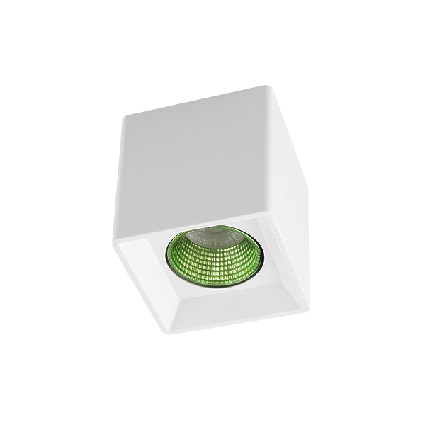 Светильник накладной Denkirs DK3080-WH+GR (White Green) артикул 270662Si-1