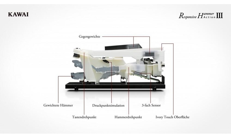 Клавишный инструмент Kawai CN25B артикул 136206Si-1 фото 5
