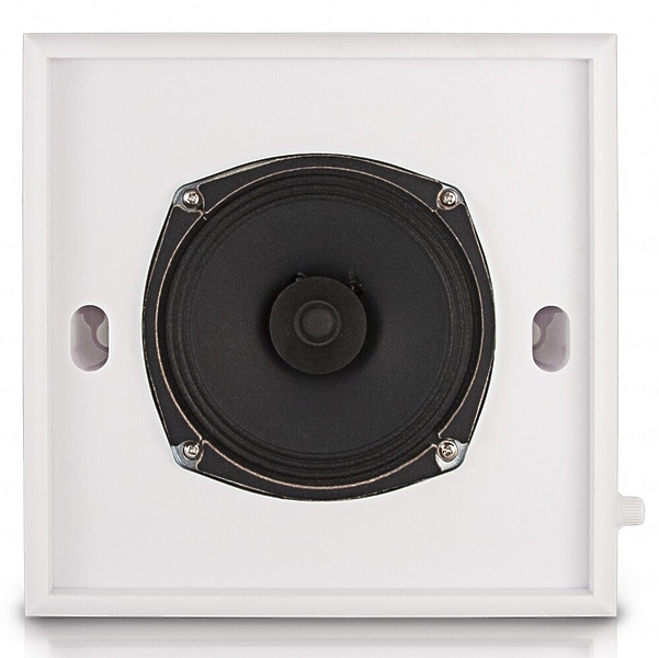 Настенная акустика CVGaudio WPS6T артикул 137062Si-1 фото 7