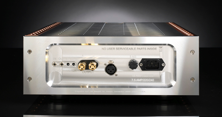 Моноусилитель Dan D’Agostino Momentum Monoblock Amplifier silver артикул 112953Si-1 фото 5