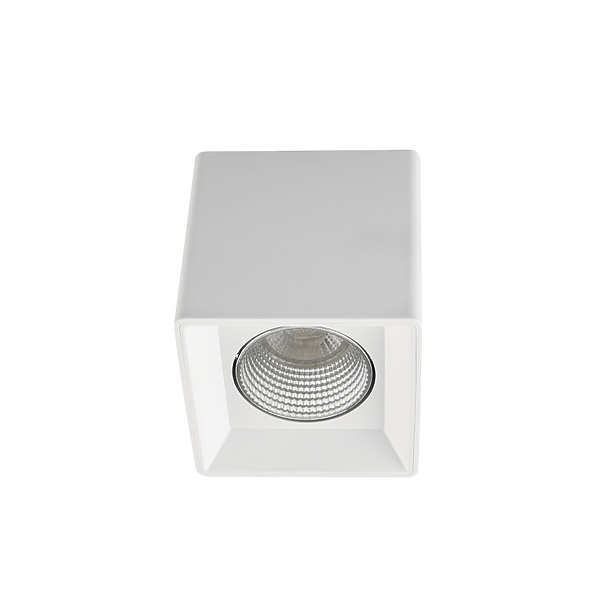 Светильник накладной Denkirs DK3080-WH+CH (White Chrome) артикул 270660Si-1