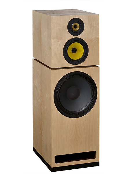 Напольная акустика Davis Acoustics Renoir birch артикул 166974Si-1 фото 3